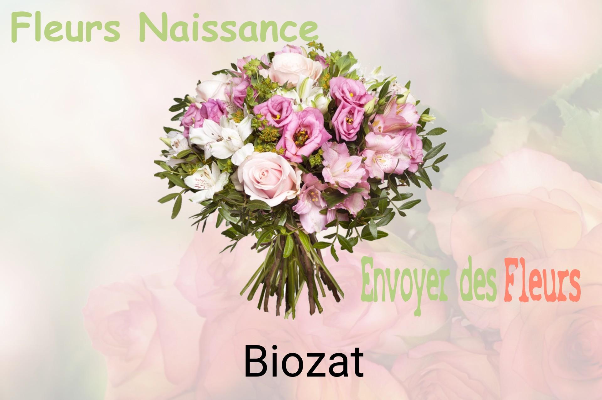 Bouquet de fleurs de naissance livré à Biozat
